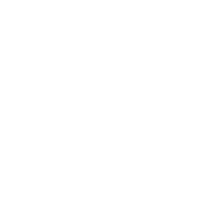 logo lady violin (blanc)