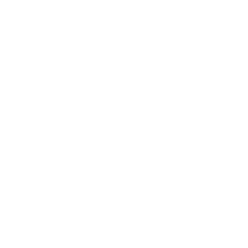 logo lady violin (blanc)